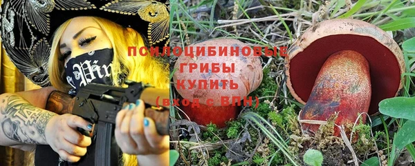 твердый Белокуриха