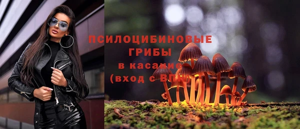 тгк Струнино