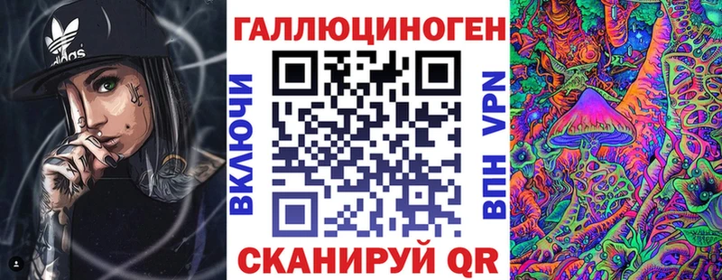 как найти   Буйнакск  Псилоцибиновые грибы Psilocybine cubensis 