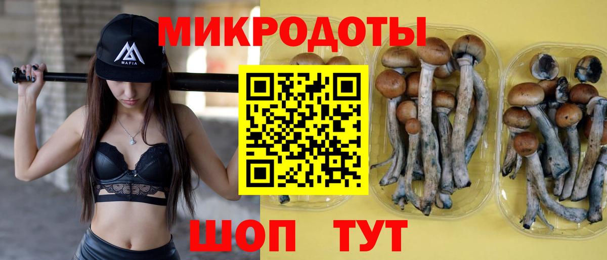 Буйнакск  Псилоцибиновые грибы Cubensis  Вход с VPN  Галлюциногенные грибы MAGIC MUSHROOMS 